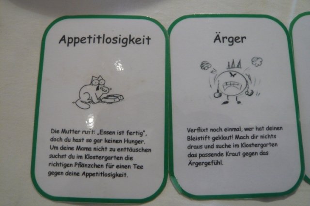 Exkursion Burg Clam 42